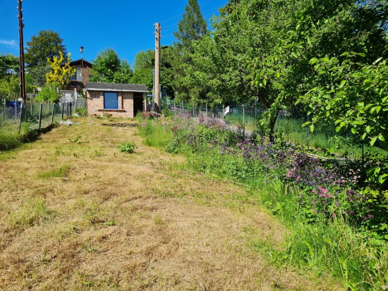garten1