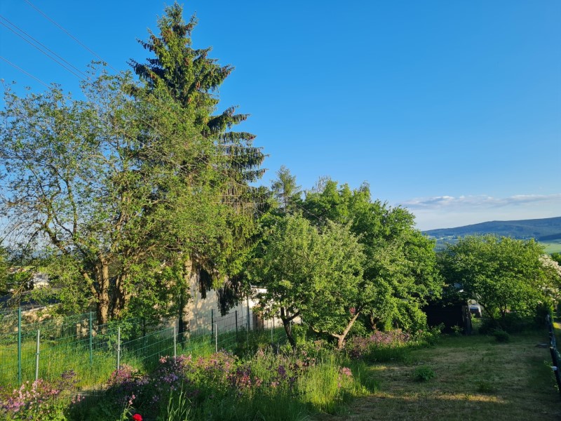 garten1