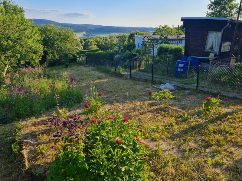 garten1