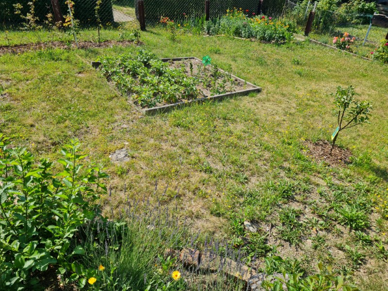 garten27