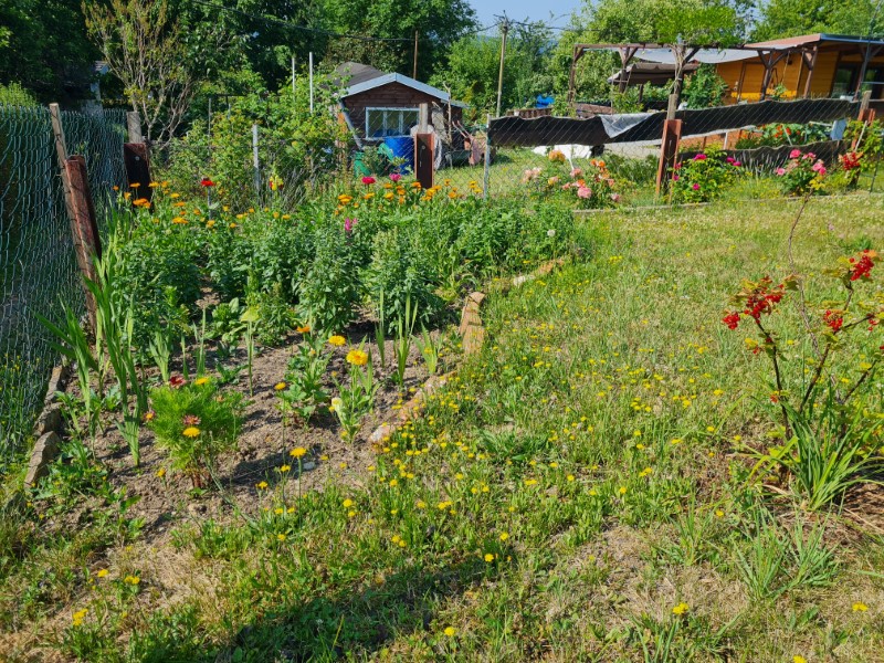 garten27