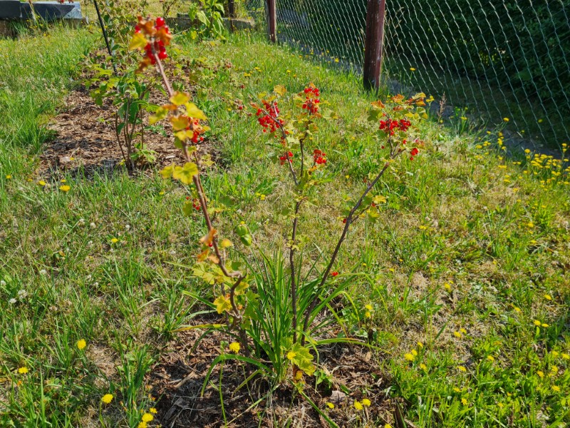 garten27