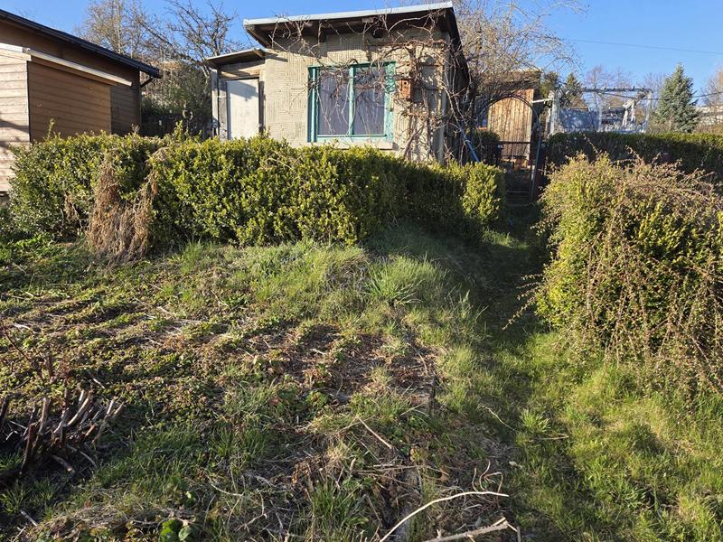 garten31
