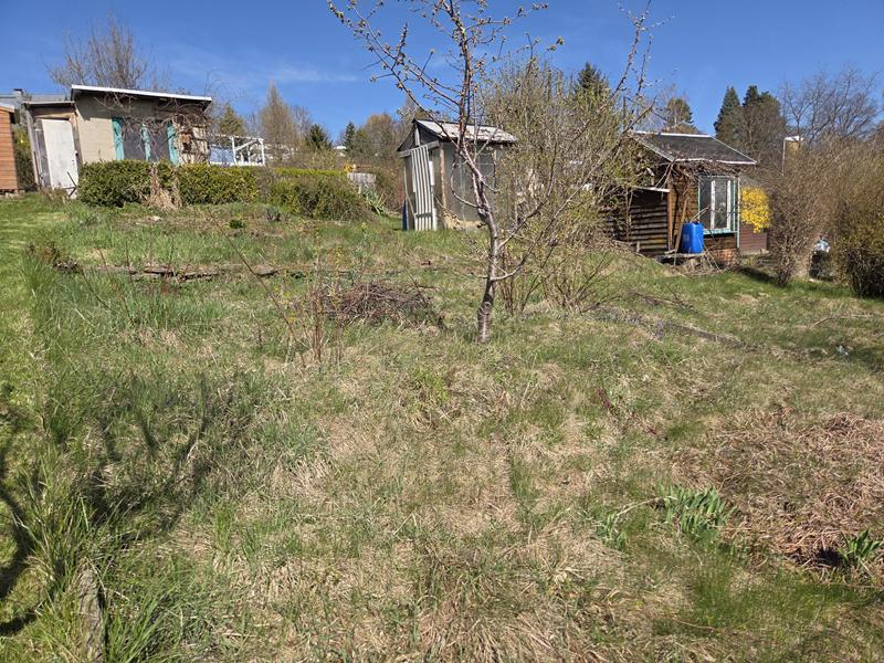 garten31