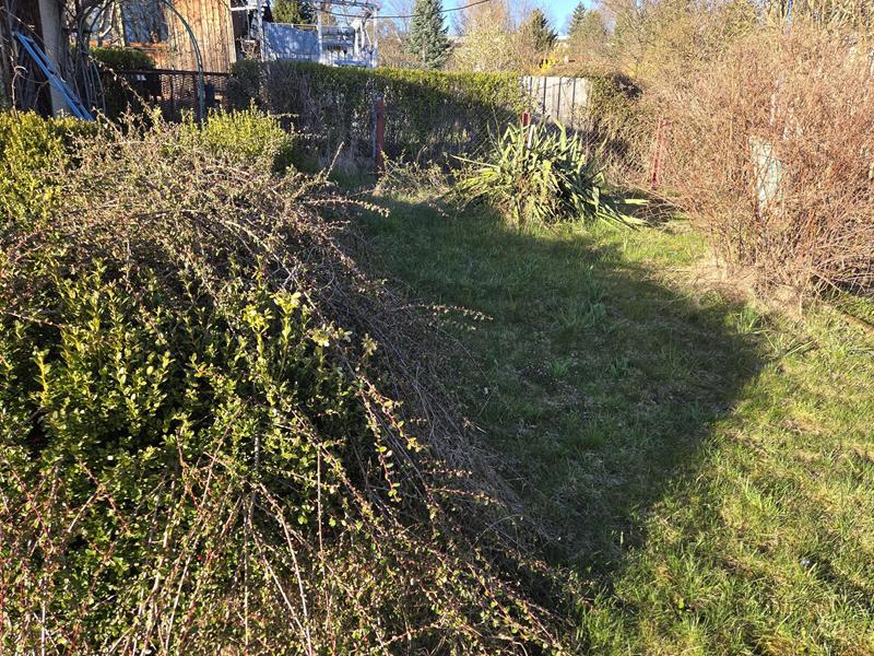 garten31