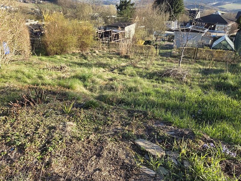 garten31