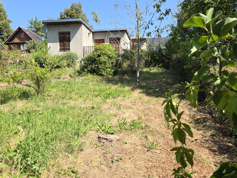 garten49