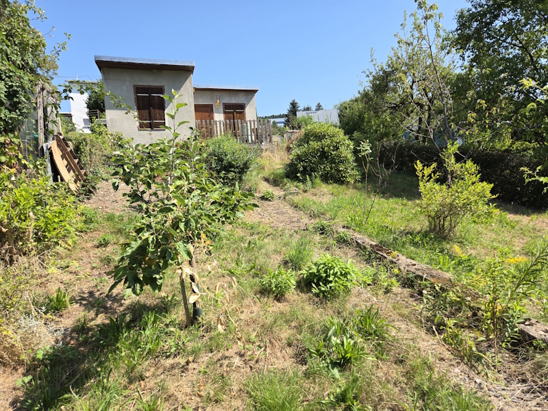 garten49